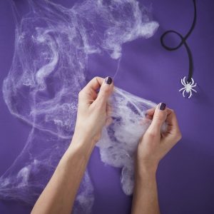 Stretchable Fake Spiders Web