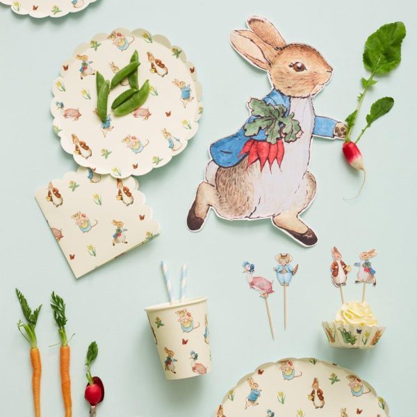 Peter Rabbit™ & Friends Dinner Plates