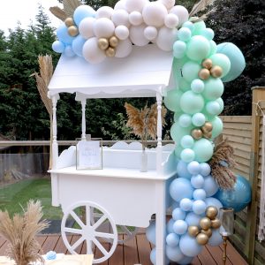 Chalky Blue Balloon Arch